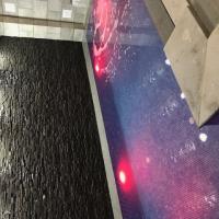 Img 7384